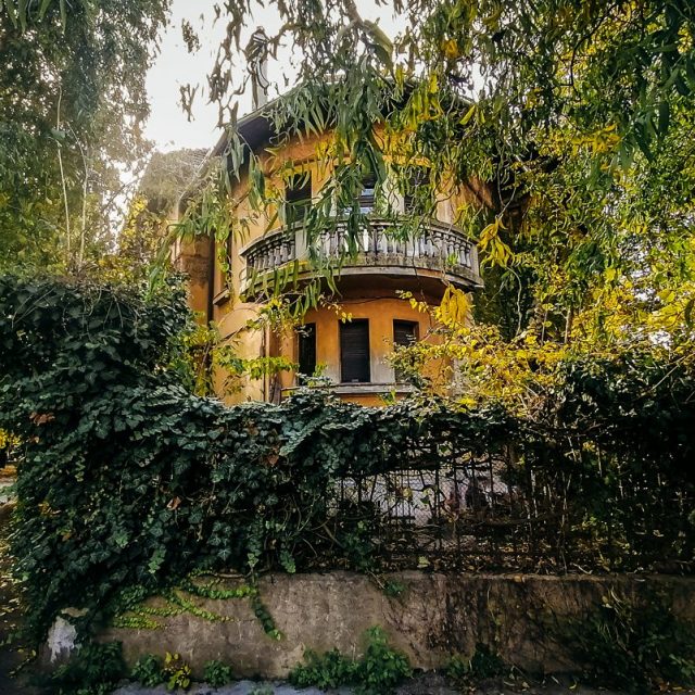 Aurelia Cionca Mirinescu 2 Aurelia Cionca Mirinescu 2
